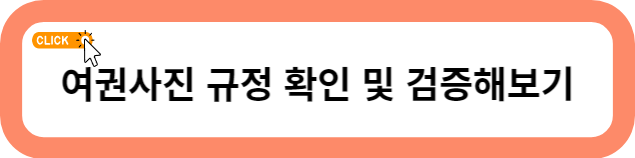 여권 발급