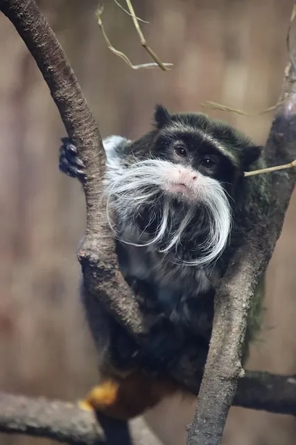 신세계 상품권으로 애슐리 뷔페 이용 꿀팁 정리_2