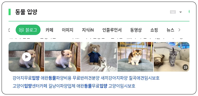 동물 입양_1_subsection