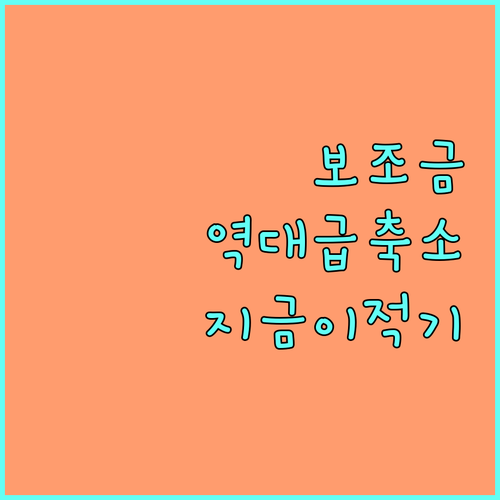 전기차 보조금 2026년 축소 전망과..