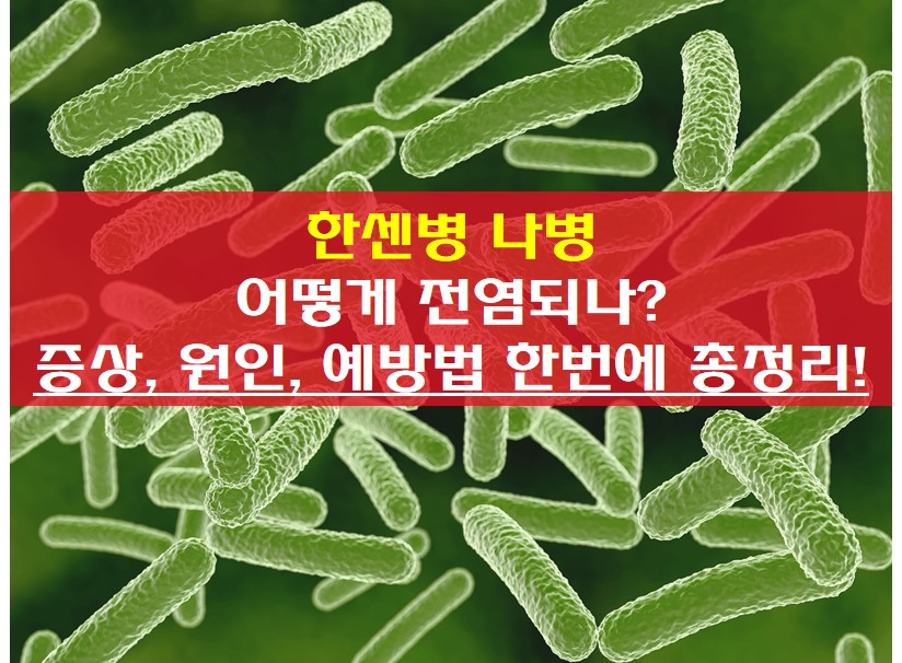 한센병 나병 병균 사진