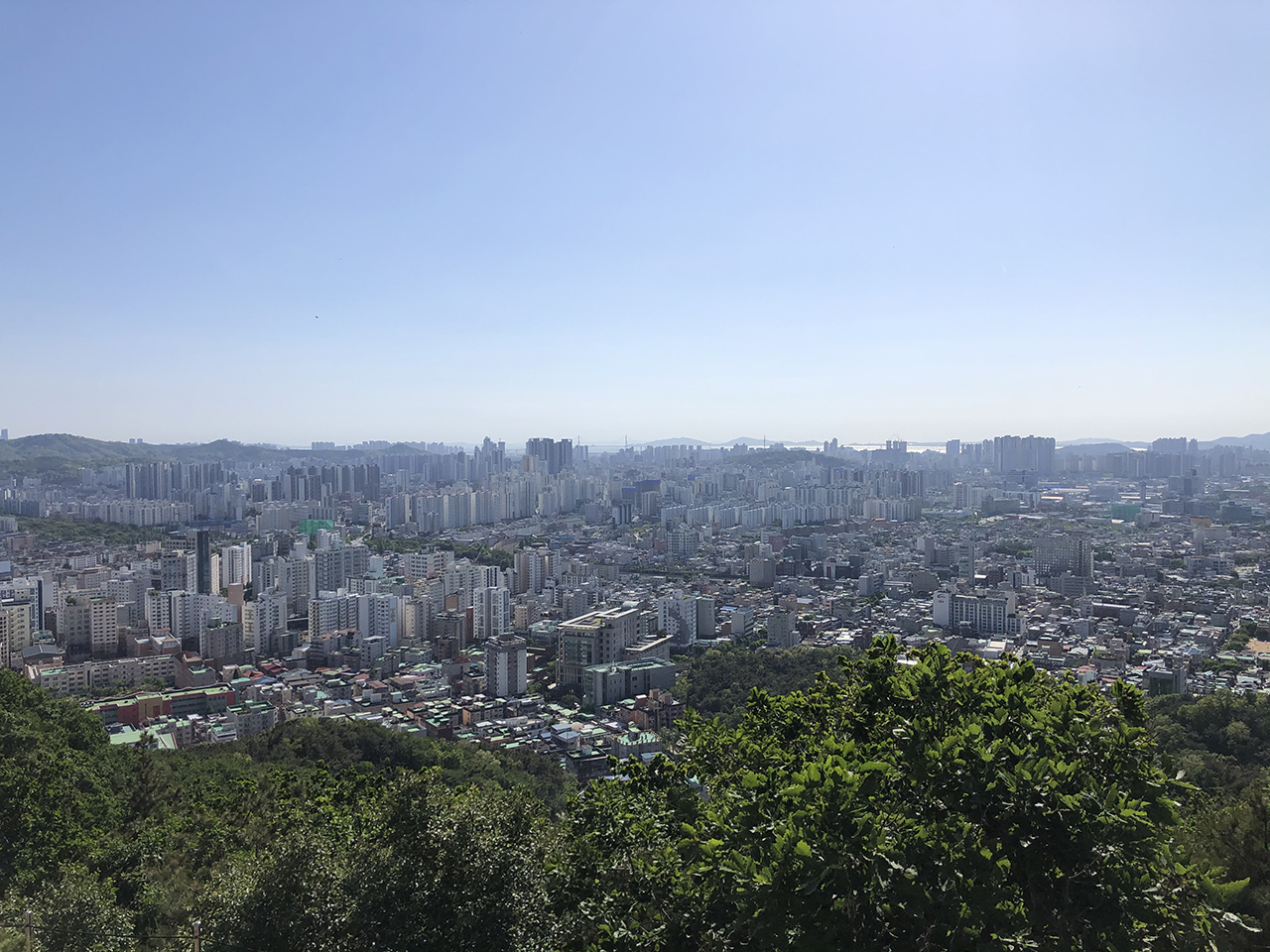 만월산 정상 전망