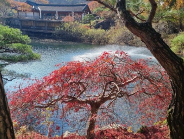 2024화담숲 가을단풍축제