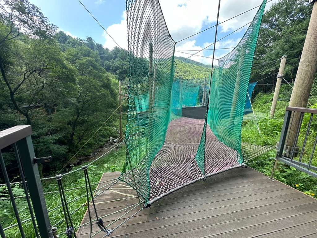 하늘 네트 어드벤처