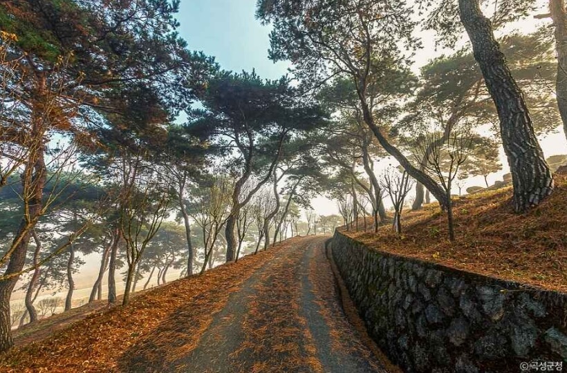 곡성 가볼만한곳 베스트 10