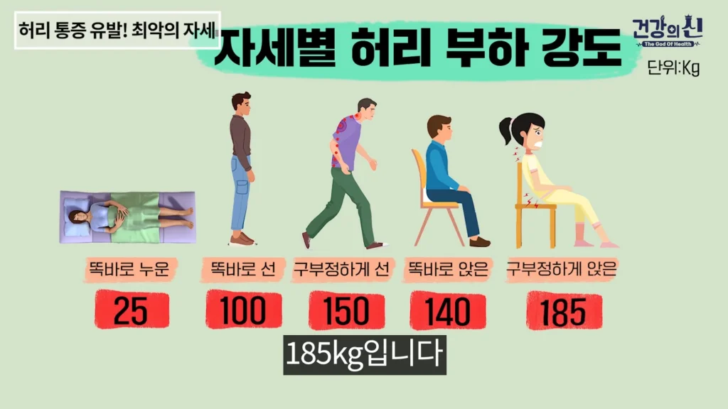 자세별 허리 부하 강도 (출처 : 유튜브 건강의 신)