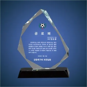 공로패 문구 모음 퇴직 공문회 공로패_8