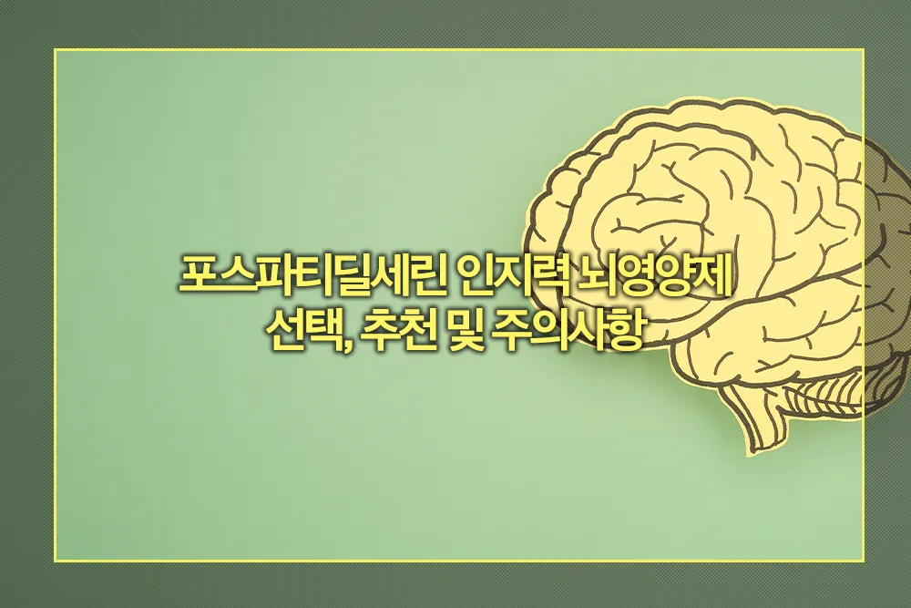 포스파티딜세린 인지력 뇌영양제 선택, 추천 주의사항