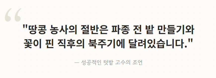 땅콩 심는시기