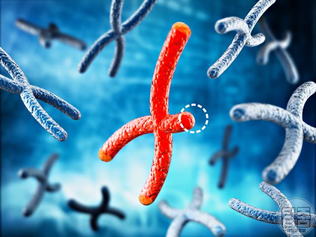 피부노화 원인 식품 피부염증 원인 음식