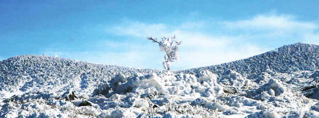 2025 제주 3박4일2