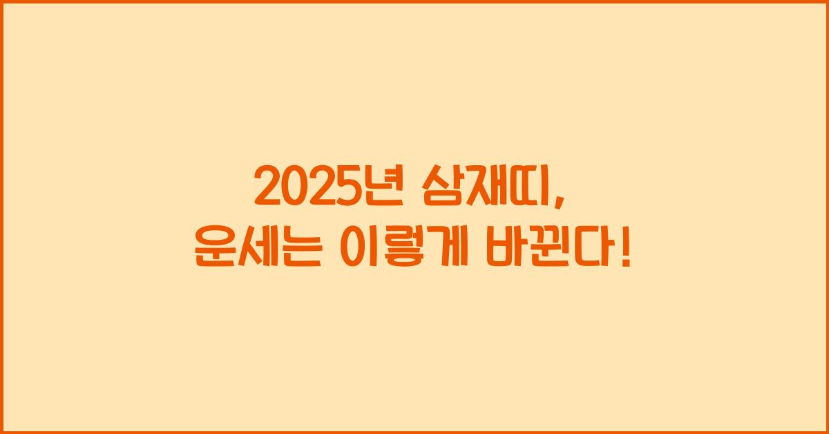 2025년 삼재띠