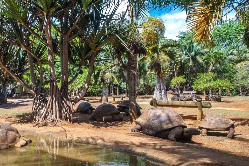 라 조흐 자연사 박물관 (La Vanille Nature Park)