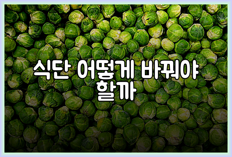 식단 어떻게 바꿔야 할까