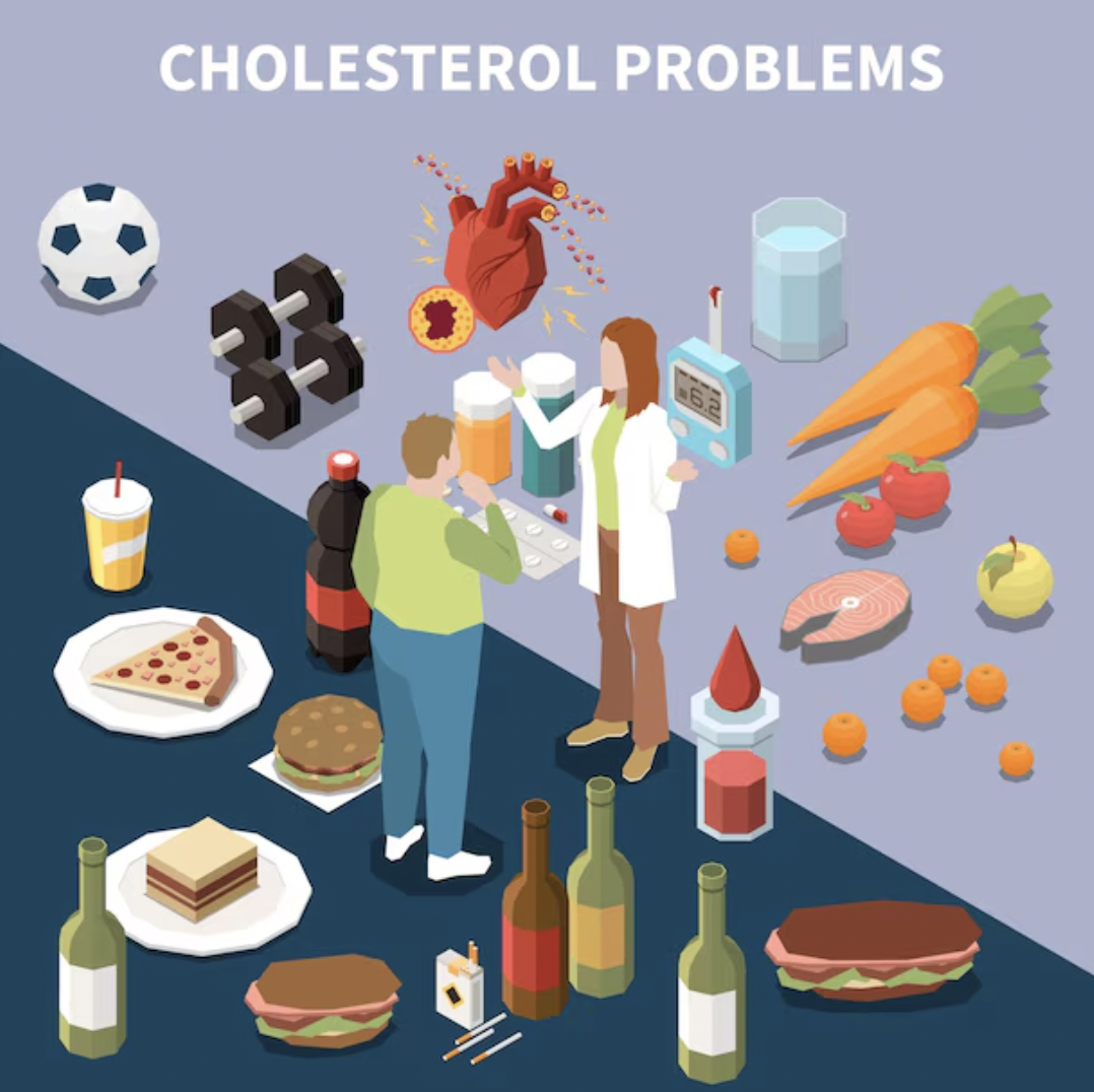 HDL vs LDL 완전 이해하기 관련 이미지