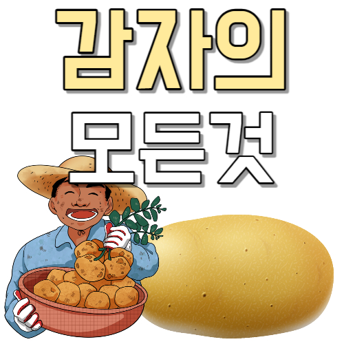 감자-항암
감자-영양소