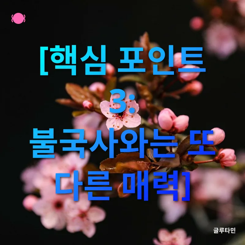 경주 겹벚꽃 명소_3