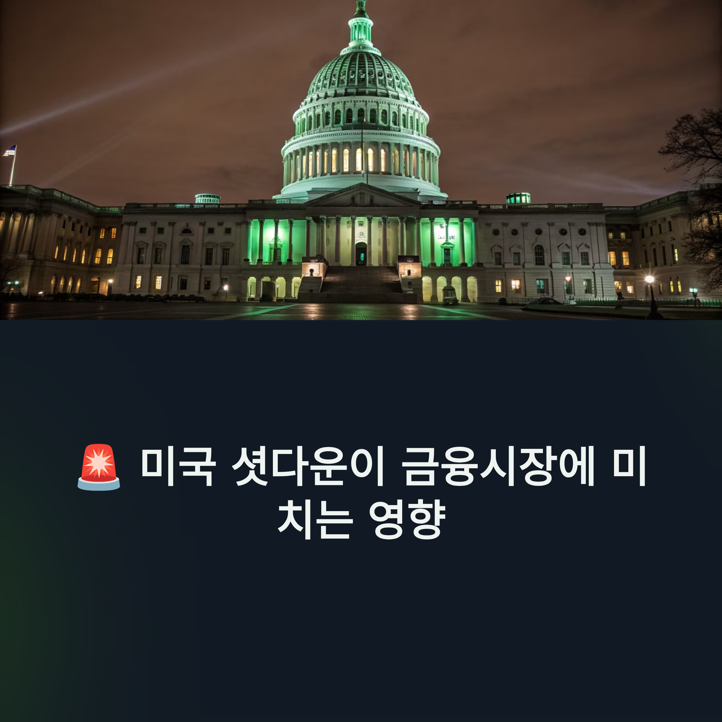 미국 셧다운