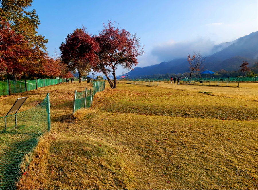 경기도 가평군 대성리 '가평파크골프장'의 가을 모습