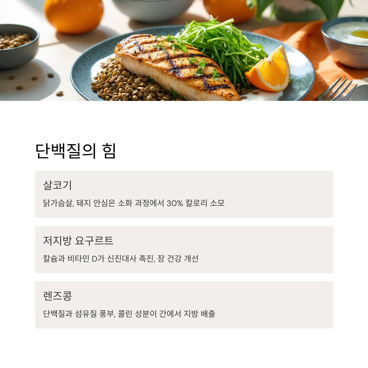 살코기: 단백질의 힘