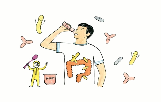 유산균과 피부 건강