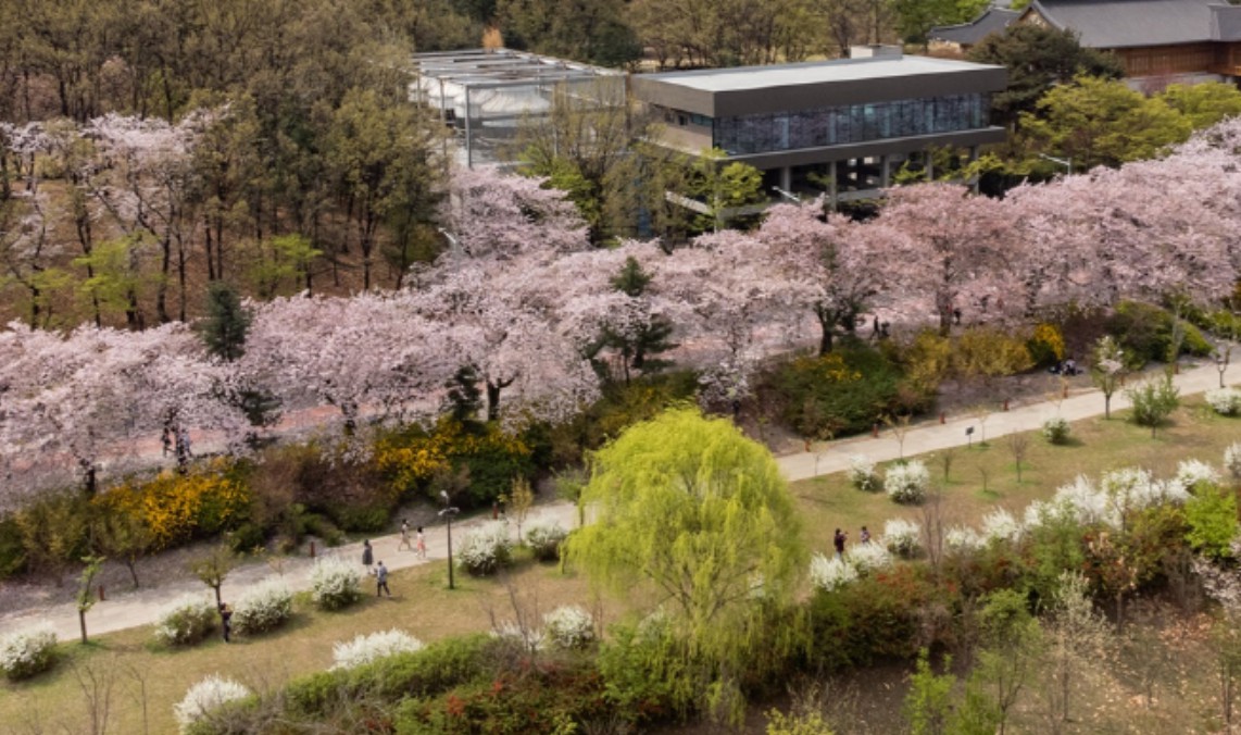 서울 벚꽃 명소