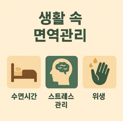 생활 속 면역관리 (수면시간, 스트레스 관리, 위생)