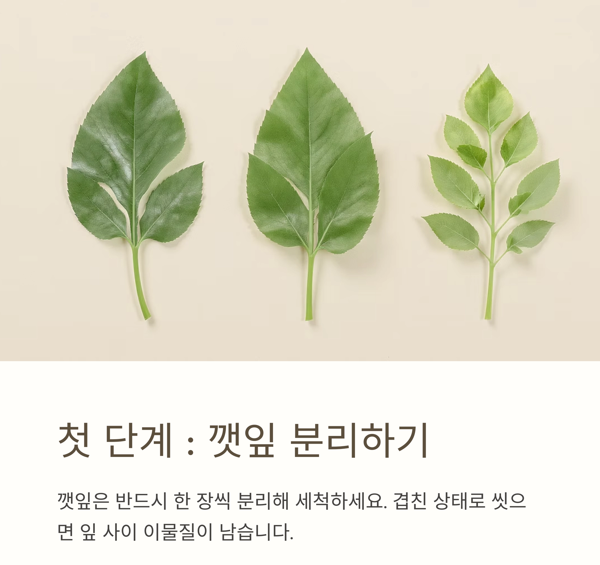 깻잎에 남은 이물질까지 말끔하게! 초보도 쉽게 하는 세척법
