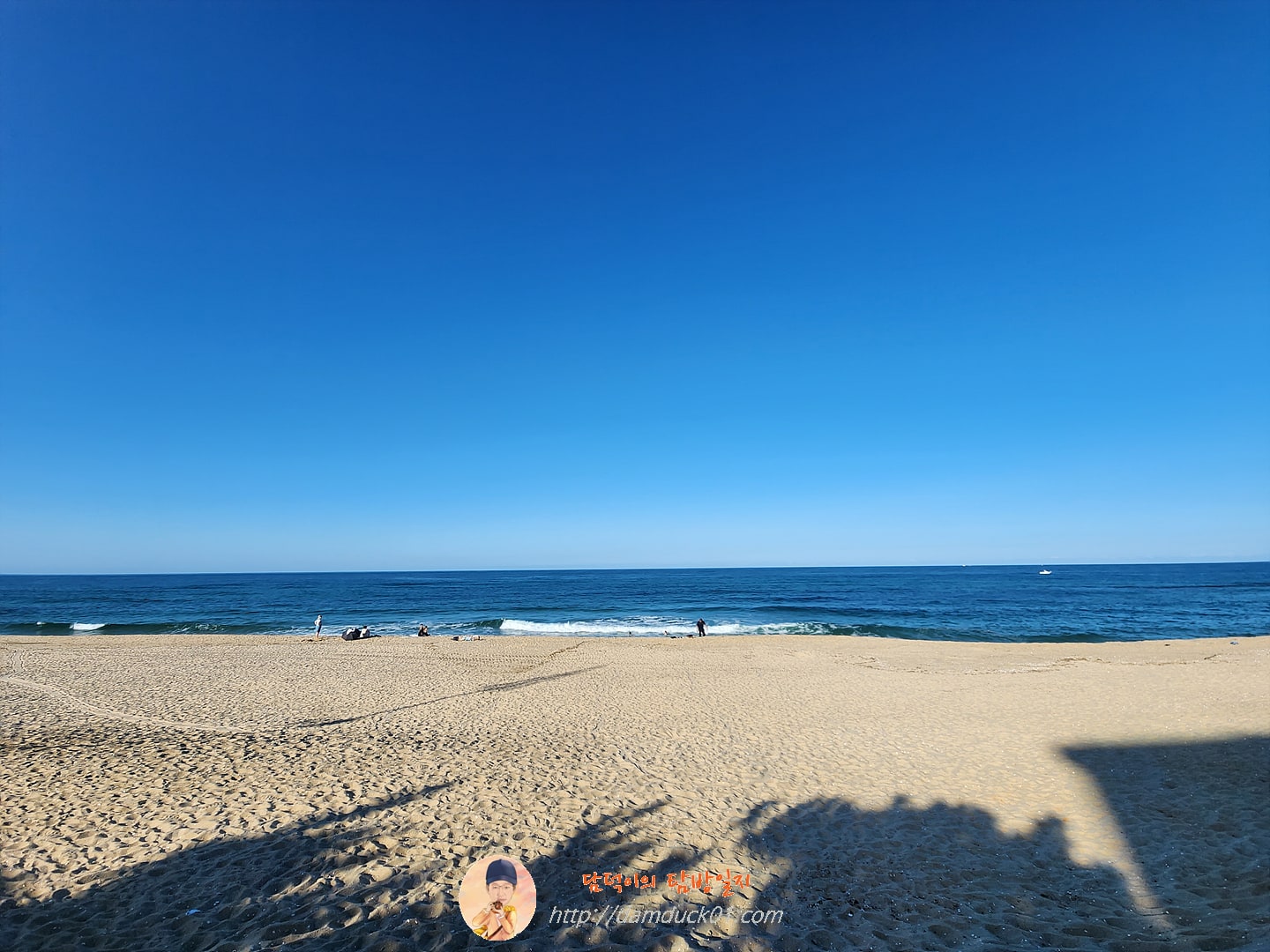 강릉안목항 해맞이공원