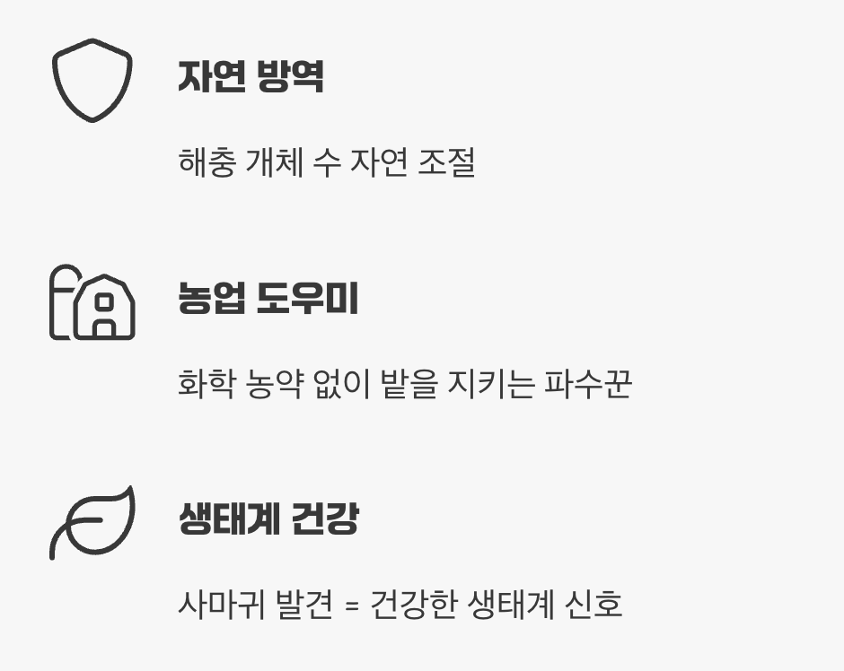 해충이 아닌, 숲의 파수꾼 '익충'