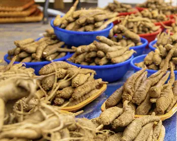 횡성 한우축제_19