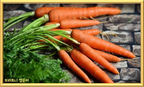 간 건강에 좋은 음식