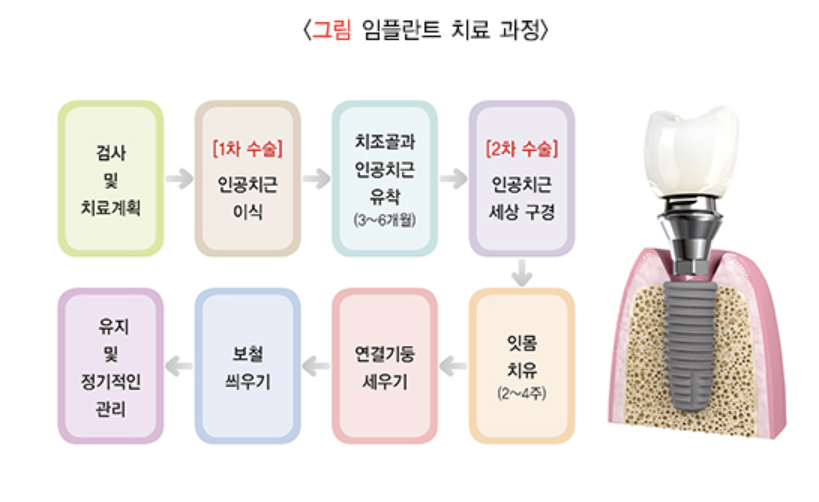 치료과정