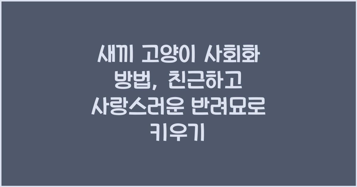 새끼 고양이 사회화 방법: 친근한 반려묘로 키우기
