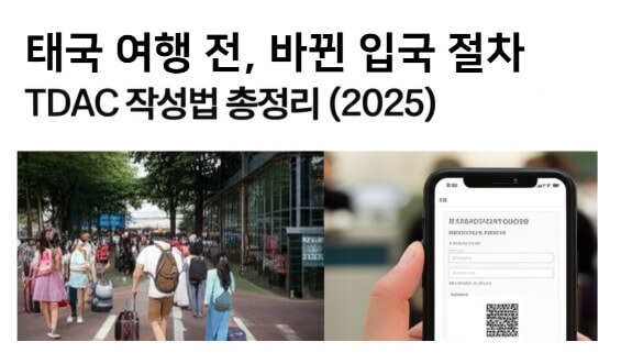 TDAC 작성법