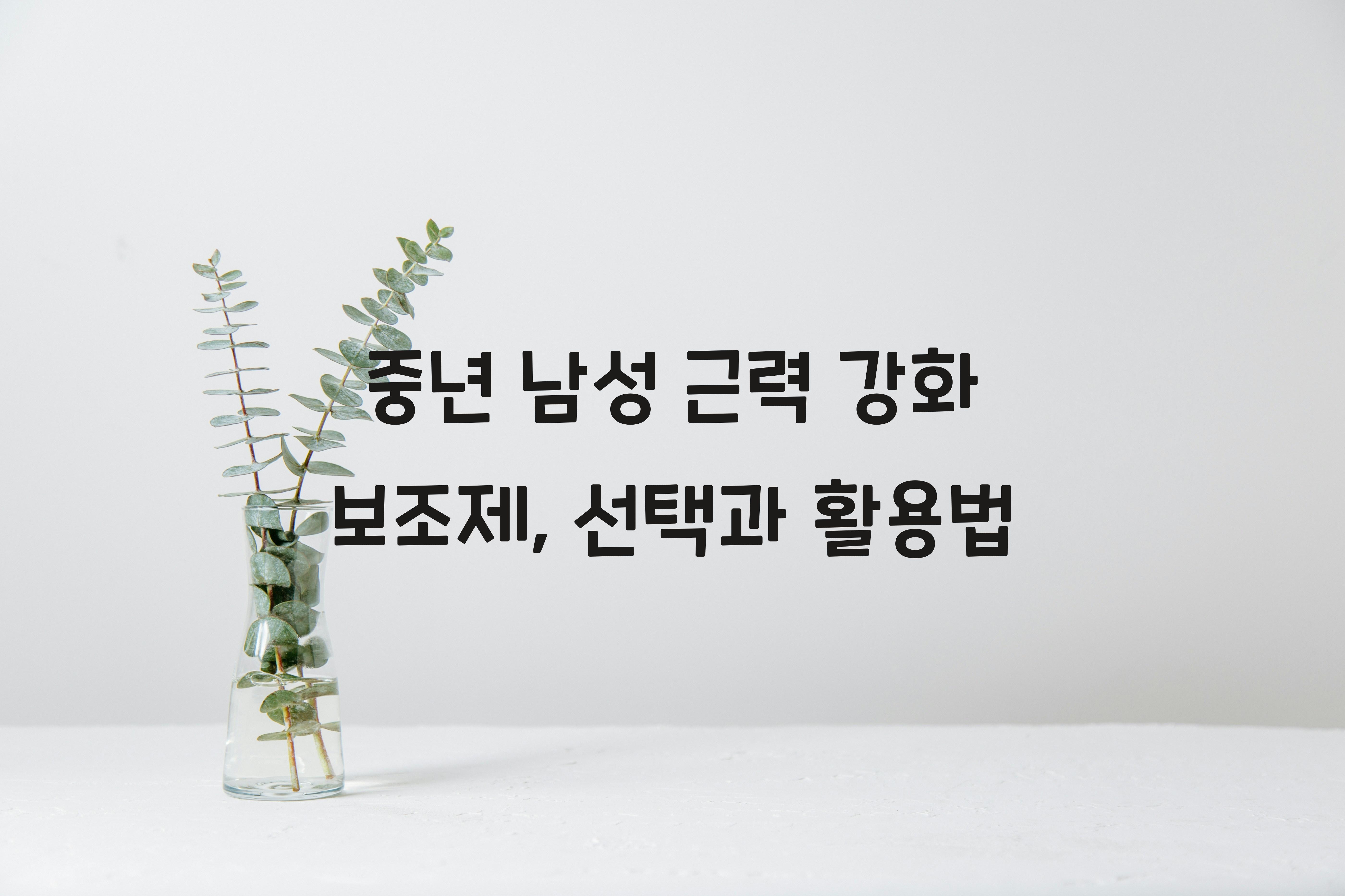 중년 남성 근력 강화 보조제