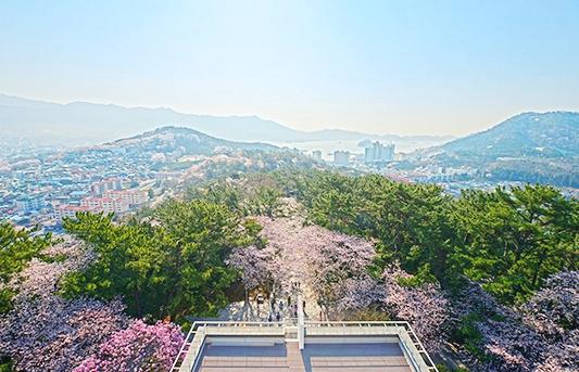 제황산-공원