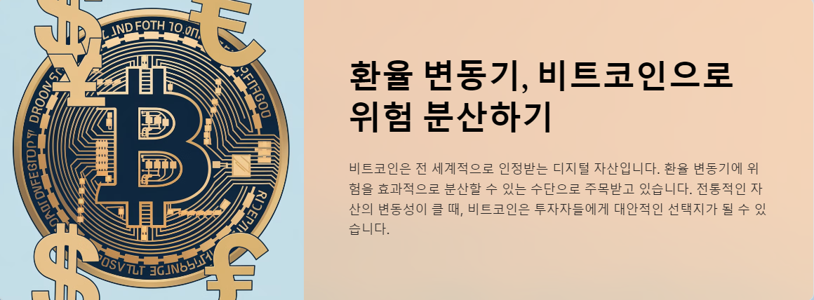 환율 변동기, 비트코인으로 위험 분산하기