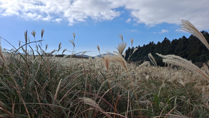 제주여행_산굼부리