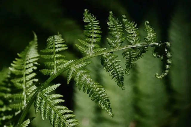 2025년 10월 모의고사 핵심정리 등급컷 난이도 정답 총정리로 안내_4