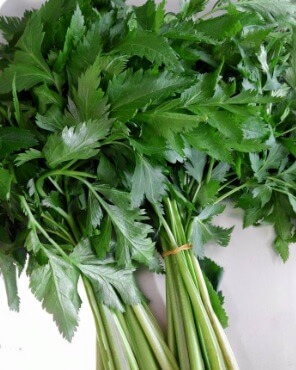 6시 내고향 강원도 인제 고랭지 ‘요세비농장’ 누리대 주문방법, 효능, 먹는방법