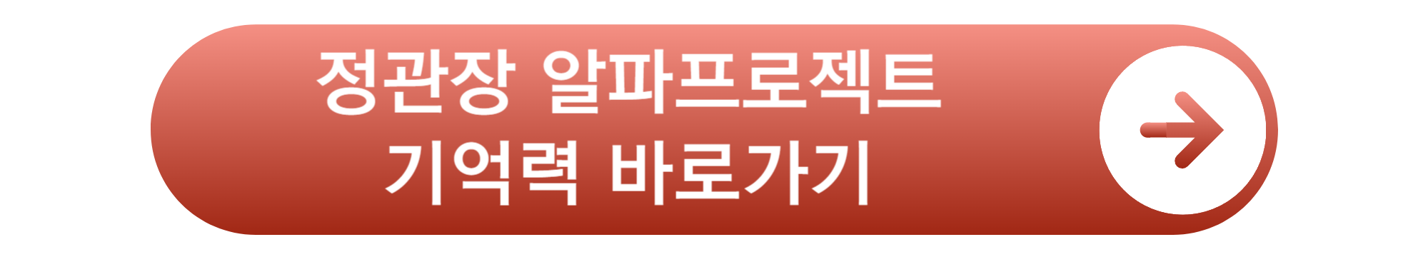 뇌 영양제 추천 TOP5 치매 예방