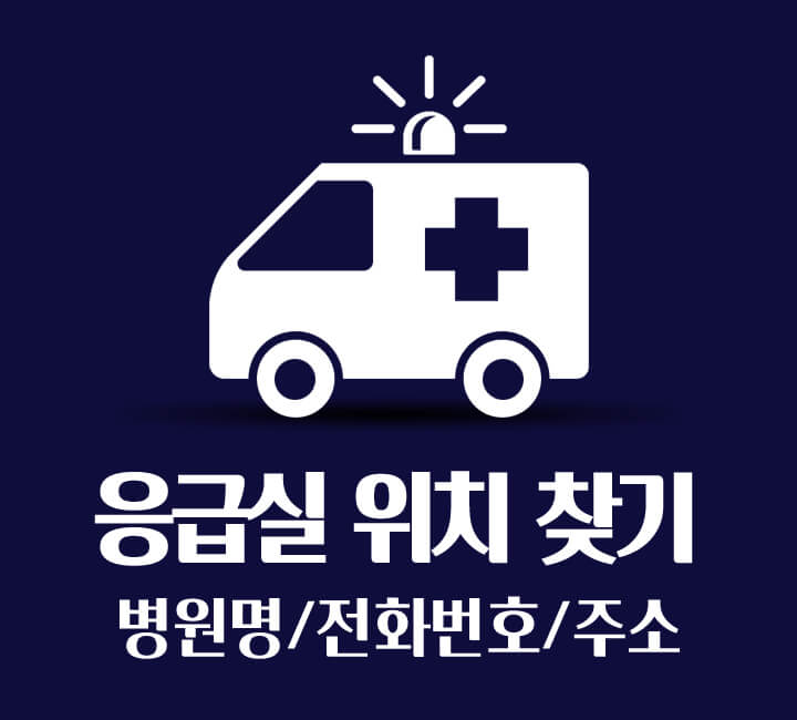 제주특별자치도 응급실 위치