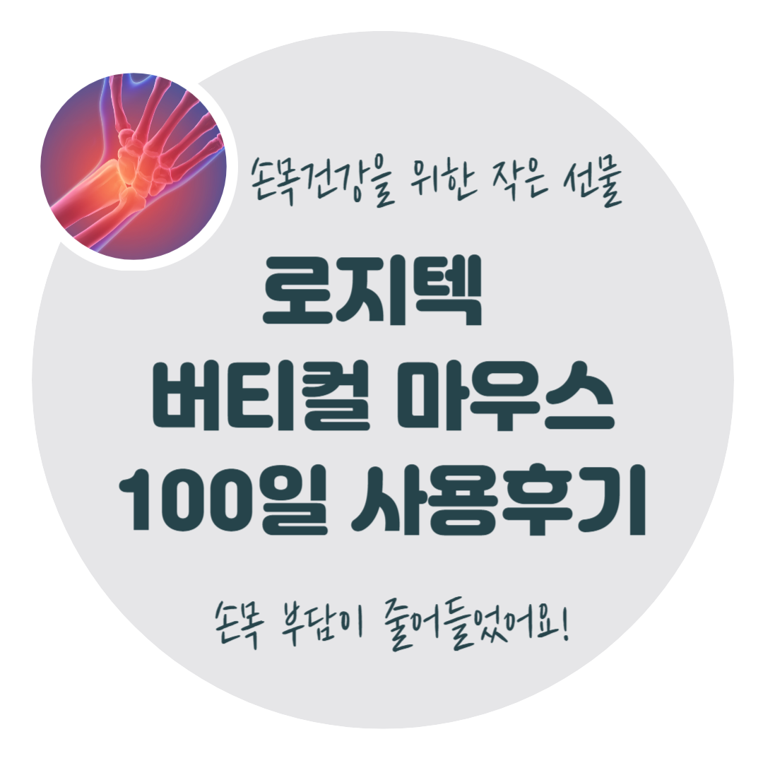 로지텍-무선-버디컬-마우스-사용후기