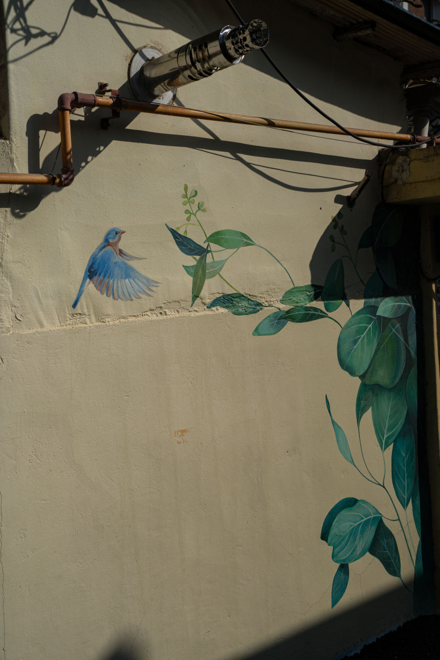 지동벽화마을 벽화