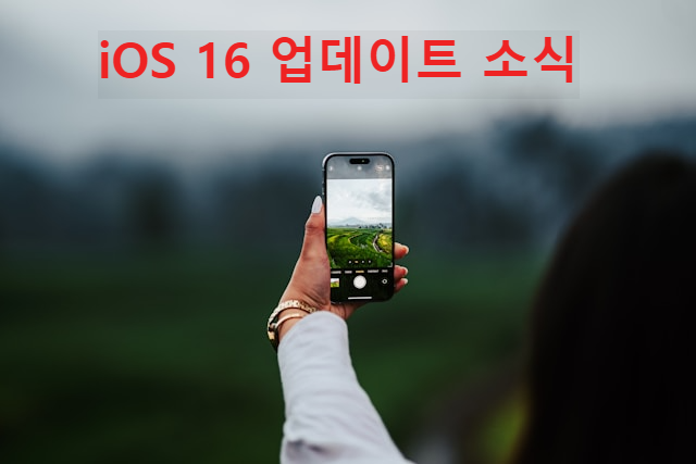 iOS 16 업데이트
