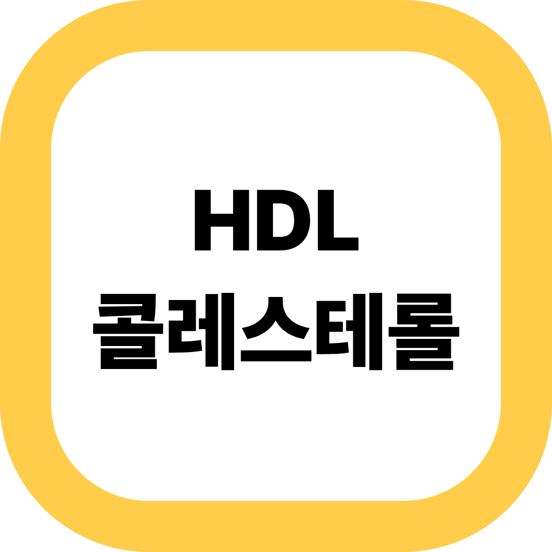 HDL 콜레스테롤이란