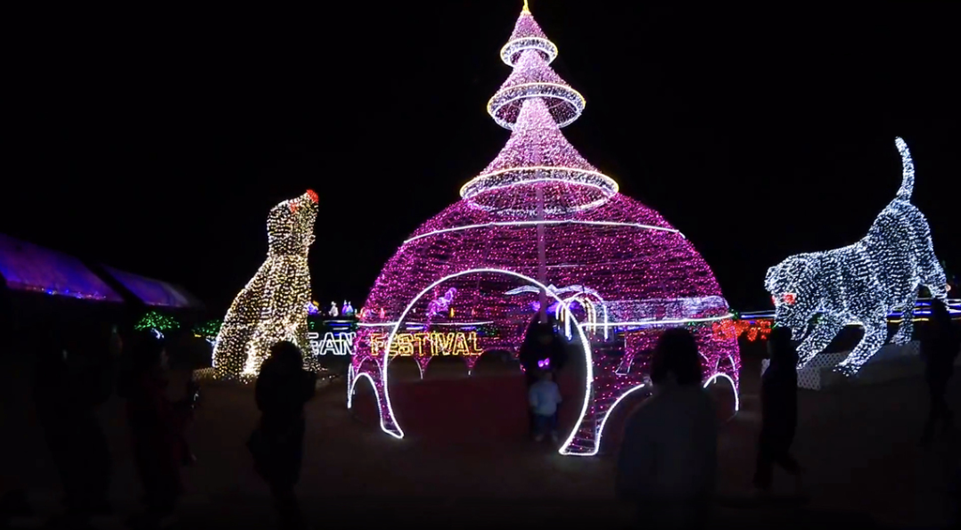 태안빛축제할인방법 태안별빛축제 태안불빛축제 태안애견동반 태안꽃축제 튤립축제 꽃박람회 태안할인