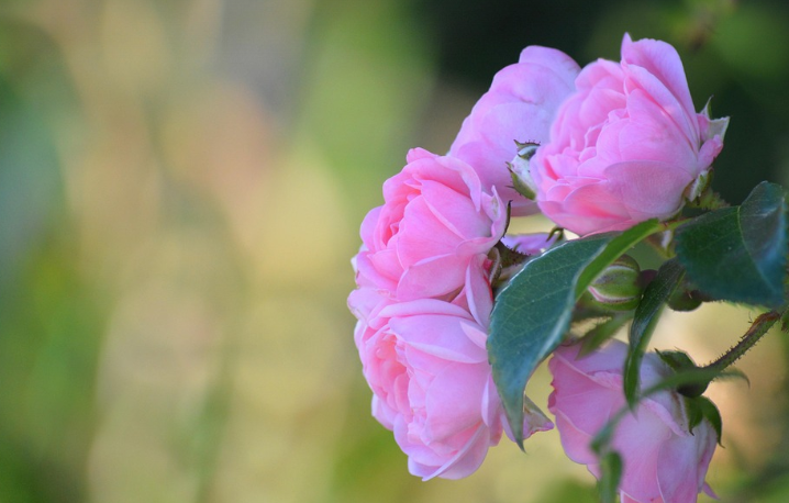 스마트폰에서 초대장 디자인하는 법