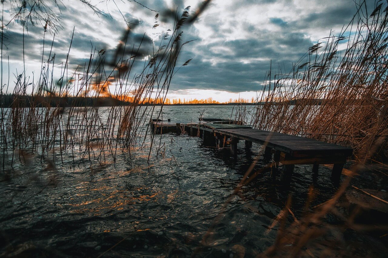 중국 문학사 속에서의 농경 생활과 농민 문학의 태동